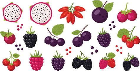 Superfood berry and fruit vector collection featuring dragon fruit slices blackberries raspberries and goji berries for healthy nutrition organic smoothies and wellness illustration designs. © Hosneara