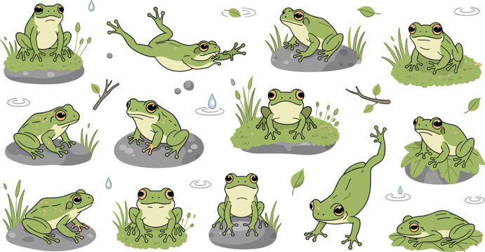 Green tree frog vector collection featuring cute amphibians in various poses jumping sitting on mossy rocks and swimming for swamp nature wildlife and pond habitat illustration designs.