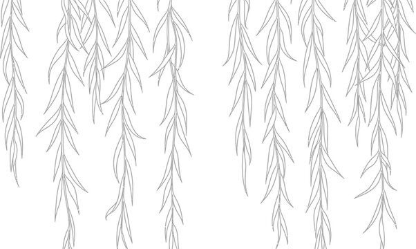 Elegant weeping willow branches illustration with minimalist black and white design