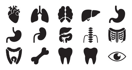 Human body part icons including heart lungs liver bone tooth and eye in solid black silhouette style © Md