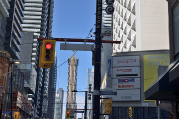 Obraz premium looking north on Yonge St east side at Carlton St incl business listings (Courtyard Marriott south tower retail shops), Toronto