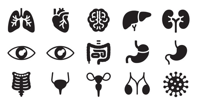 Set of human internal organs and biological elements icons including lungs heart brain and virus