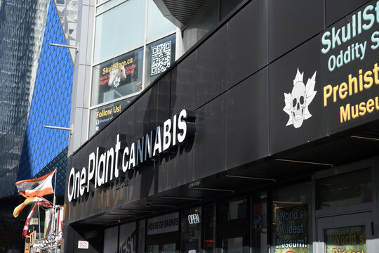 exterior building and sign of One Plant, a cannabis shop, located at 333 Yonge St (incl Prehistoria Museum & SkullStore Oddity Shop)