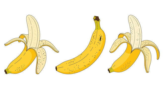 Three yellow bananas, one peeled, one whole, and another partially peeled, showcasing their vibrant color and texture