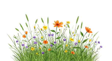 Vibrant colorful flowers and green grass isolated on transparent background