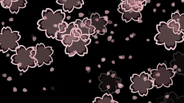 桜 枠あり 枠中あり 左から右 横方向 パターン01 桜色 ループ（黒背景）