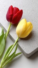 Fototapeta premium Colorful tulips on a gray surface with space for text, perfect for spring promotion or decoration ideas