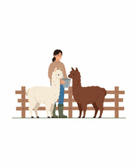Fototapeta premium Farmer woman feeding sheep and llama in farm vector illustration flat design