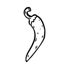Obraz premium Spicy Chili Pepper Doodle sketch