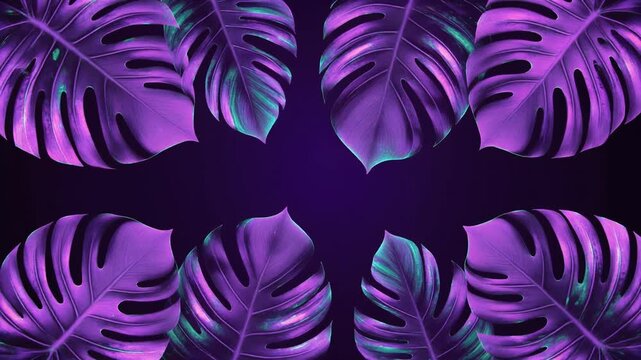 Purple Monstera Leaves Pattern Background.