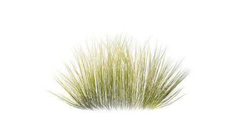 Naklejka premium Bunches of grass on a transparent background. 3D rendering. 