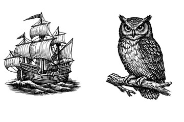 A detailed black and white illustration featuring a vintage sailing ship navigating ocean waves alongside a wise owl perched on a wooden branch against a dark background. © Alan