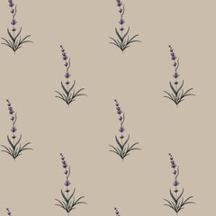 Seamless lavender floral pattern with spaced botanical flowers on beige background © Kateryna