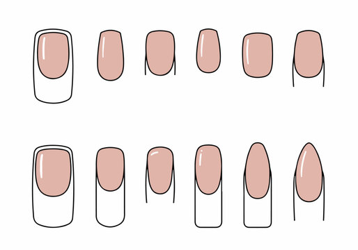 Vector illustration of different natural nail shapes and styles, showing basic manicure types for beauty and cosmetology guides.