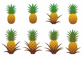 Fototapeta premium Collection of flat design pineapple vector illustrations, featuring fruits isolated and growing in stylized plants.