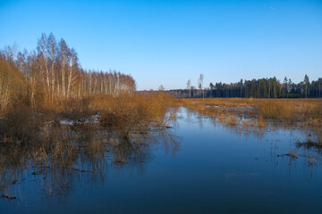Obraz premium spring floods after snow melting in forest river in Latvia