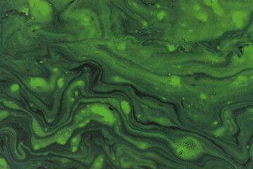 Abstrakcja, zieleń na wodzie.  © tobiaszi