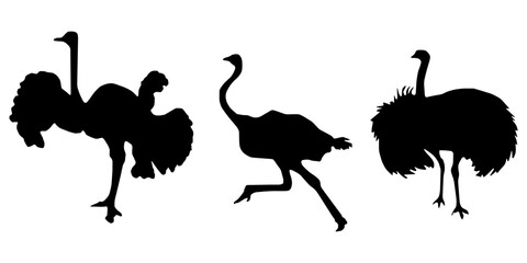Hen or Chicken, rooster and chicks silhouette set. hen, rooster and chicks isolated farm animal silhouette icon vector collection. © alikhsan