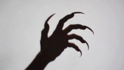 Creepy monster shadow hand with long sharp claws on white wall creating horror and fear concept