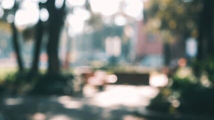 Obraz premium Soft focus city park scene with blurred trees, sunlight, and a walking path presenting a tranquil abstract background
