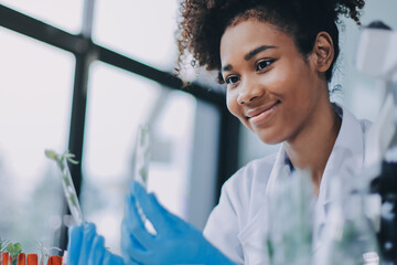 Chemical Laboratory of the Food supply . Food in laboratory, dna modify .GMO Genetically modified...