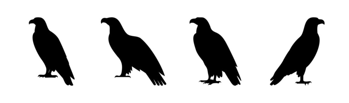 Set of 4 black crow silhouettes vector