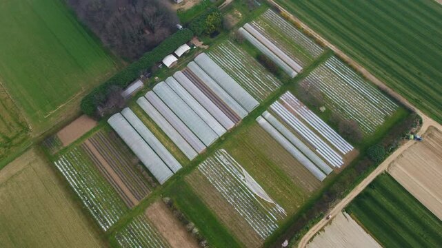 Aerial view of countryside fields with farming greenhouses for agrarian production in Brianza region near Milan, Lombardy, Italy. Italian rural landscape near Milano seen from drone flying in the sky