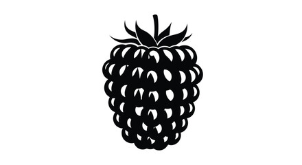 Detailed black raspberry illustration with a striking silhouette © Lhvect02