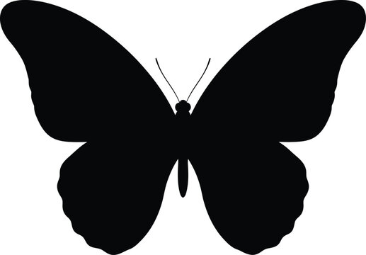 Black ostrich silhouette running vector graphic icon with a black silhouette