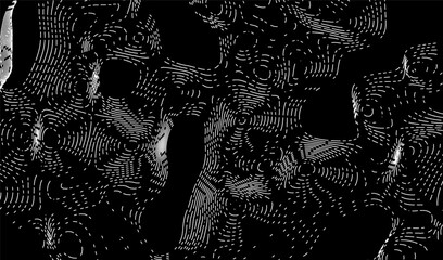 Map contour line and topography abstract relief with topographic vector terrain. Cartography land background and grid landscape outline with geographic mountain texture. © Shanvood