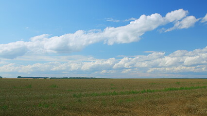 An Expansive Field Set Beneath a Beautifully Cloudy Blue Sky Above for All to See and Appreciate