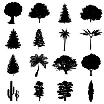 Siluetas de &aacute;rboles