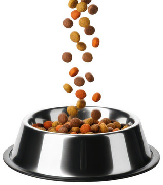 dry pet food falling png dog food kibble png pet food bowl png transparent background image