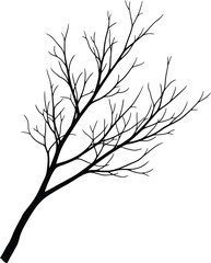 Fototapeta premium A bare tree branch against a white background