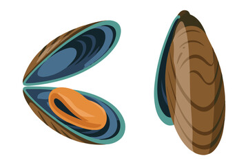 Two cartoon vector illustrations of mussels, one opened with an orange interior and another closed, isolated on a checker background, depicting seafood