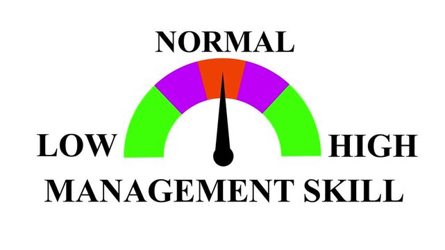 Management Skills Level Meter Animation: Measure and Display Skills from Low to High with Dynamic Increasing and Decreasing Gauge for Data Visualization, Performance. 4k animation video.