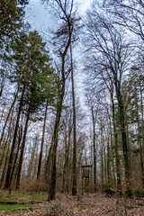 Fototapeta premium Hoch und Jägersitz am Waldrand