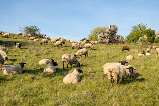 entlang der Teufelsmauer auf dem Teufelsmauerstieg