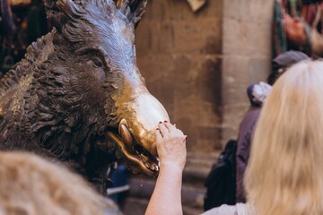 Tourist touching Il Porcellino bronze boar statue snout for good luck in Florence, Italy, travel...