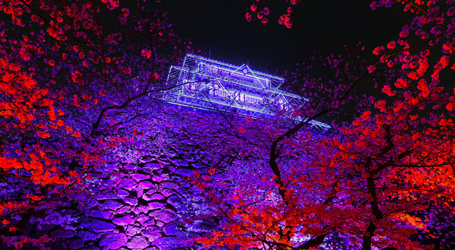 View of overlooking the city skyline and Maizuru Park with cherry blossoms lighted colorfully at night in spring in Fukuoka, Japan.