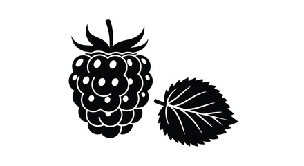 Obraz premium Black raspberry with a leaf a dramatic silhouette