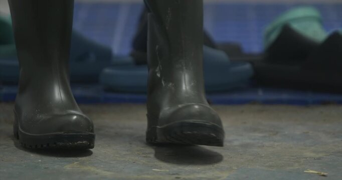 Putting on green wellington waterproof work boots close up