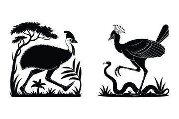 Fototapeta premium Emu in savannah and crowned crane with snake with black and white