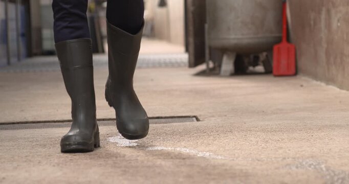 Farm factory worker walking wearing waterproof wellington work boots