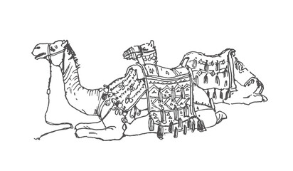 Black‑and‑white line sketch: seated Egyptian camel with Bedouin saddlery, geometric patterns. Minimalist, unshaded. Perfect for books, magazines, Egyptian travel & tourism themes. © Catherine