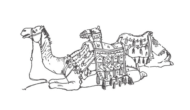 Black‑and‑white line sketch: seated Egyptian camel with Bedouin saddlery, geometric patterns. Minimalist, unshaded. Perfect for books, magazines, Egyptian travel & tourism themes.