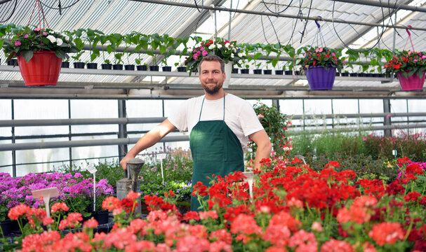 happy worker growing flowers in a greenhouse of a flower shop