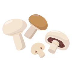 Assorted Edible Mushrooms