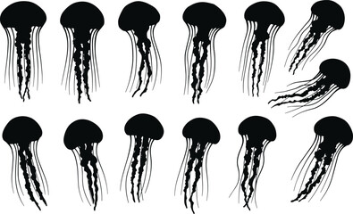 Jellyfish silhouettes, marine animal vector, ocean wildlife design, aquatic invertebrate illustration, underwater creature graphic, sea life art, medusa icon set, nature decoration, deep sea artwork © Best Design221