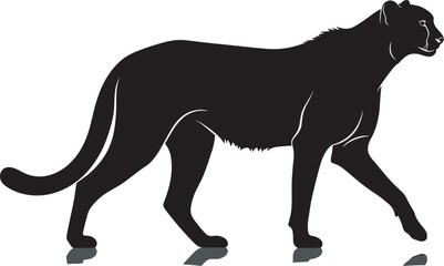 Black silhouette of a wild cheetah walking and stalking with reflection isolated on white background for wildlife nature safari and predator animal concepts. © Best Design221